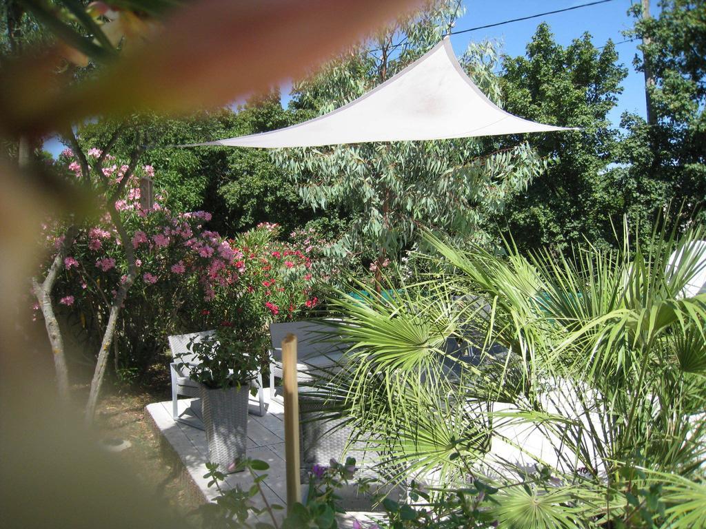 Le Clos Olives Comps  Cameră foto