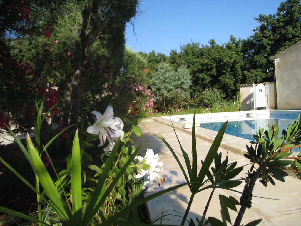 Le Clos Olives Comps  Cameră foto